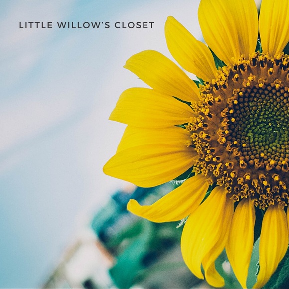 Little Willow - Picture 1 of 1
